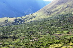 Galkot-niseldhor1