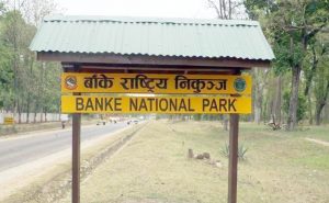 1138968102banke-national-par