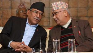 dahal-kp