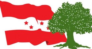 nepali-congress_kr8DAxp4SF