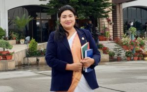 santa chaudhary