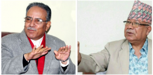 makune vs dahal