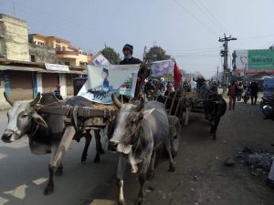 bayalgada