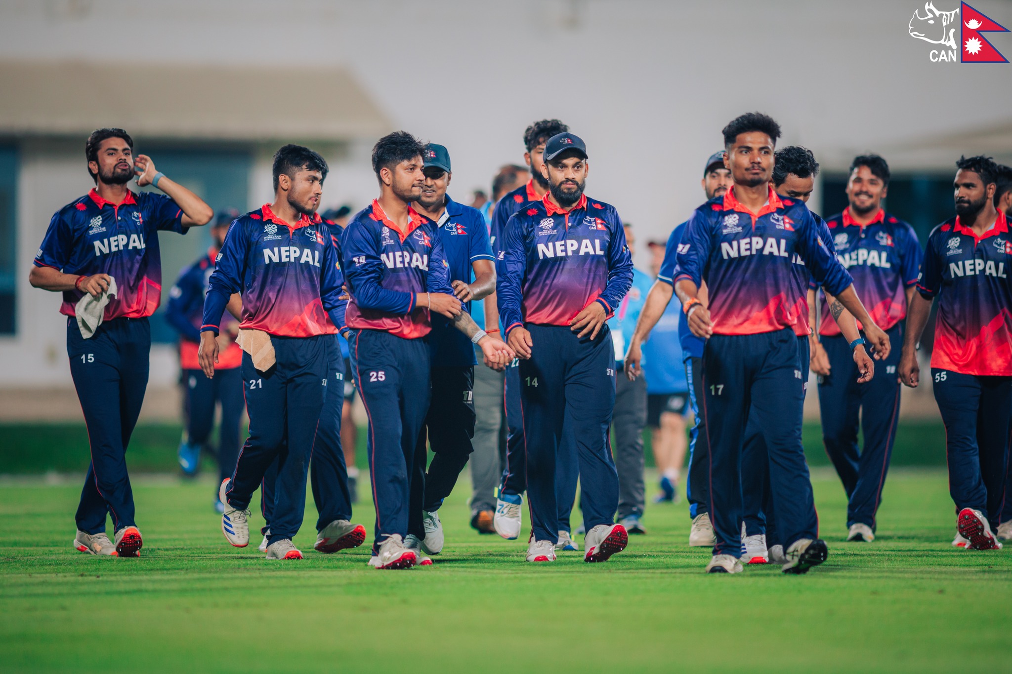 cricket